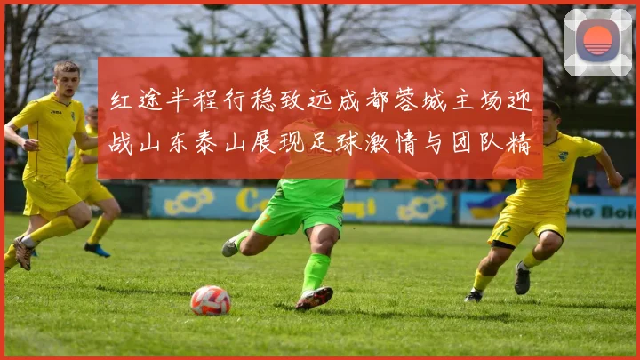 红途半程行稳致远成都蓉城主场迎战山东泰山展现足球激情与团队精神