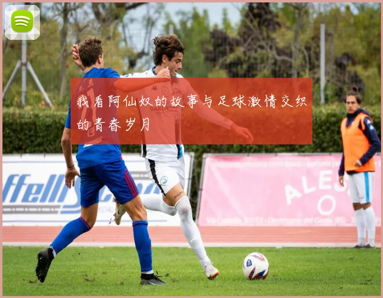 我看阿仙奴的故事与足球激情交织的青春岁月